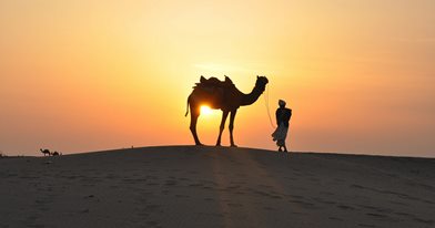 de7ddc26-c969-4435-a17c-4680eda94396-1906-dubai-morning-camel-safari-01.jpg