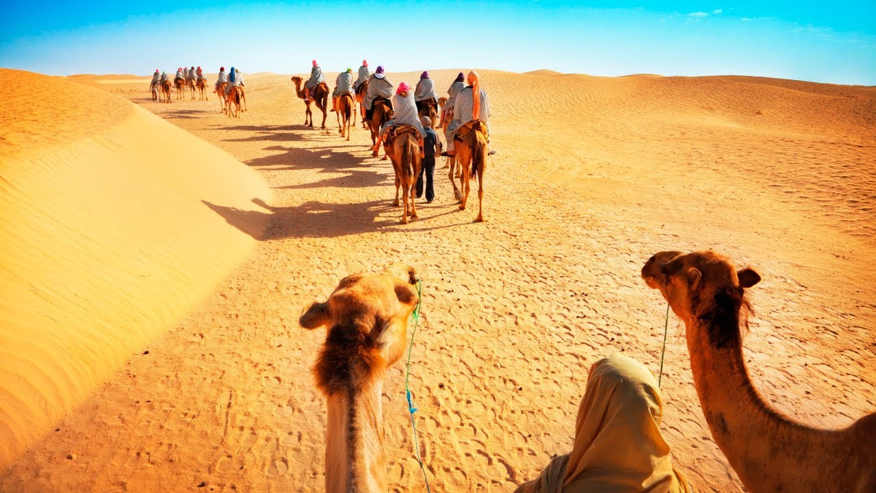 Camel Trekking in Dubai Desert + Safari