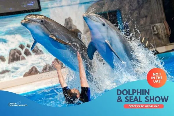 Dubai Dolphinarium