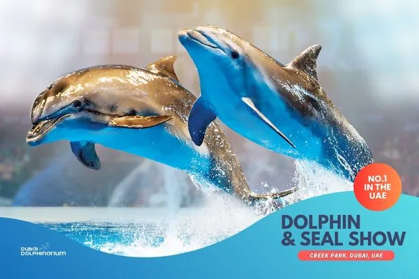Dubai Dolphinarium
